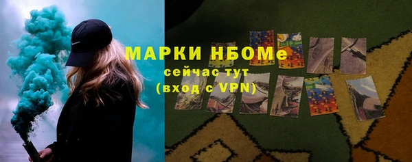 шишки Алексин