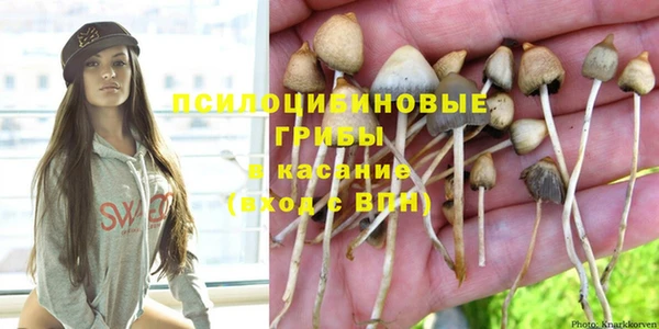 шишки Алексин