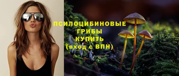 МДМА Абаза