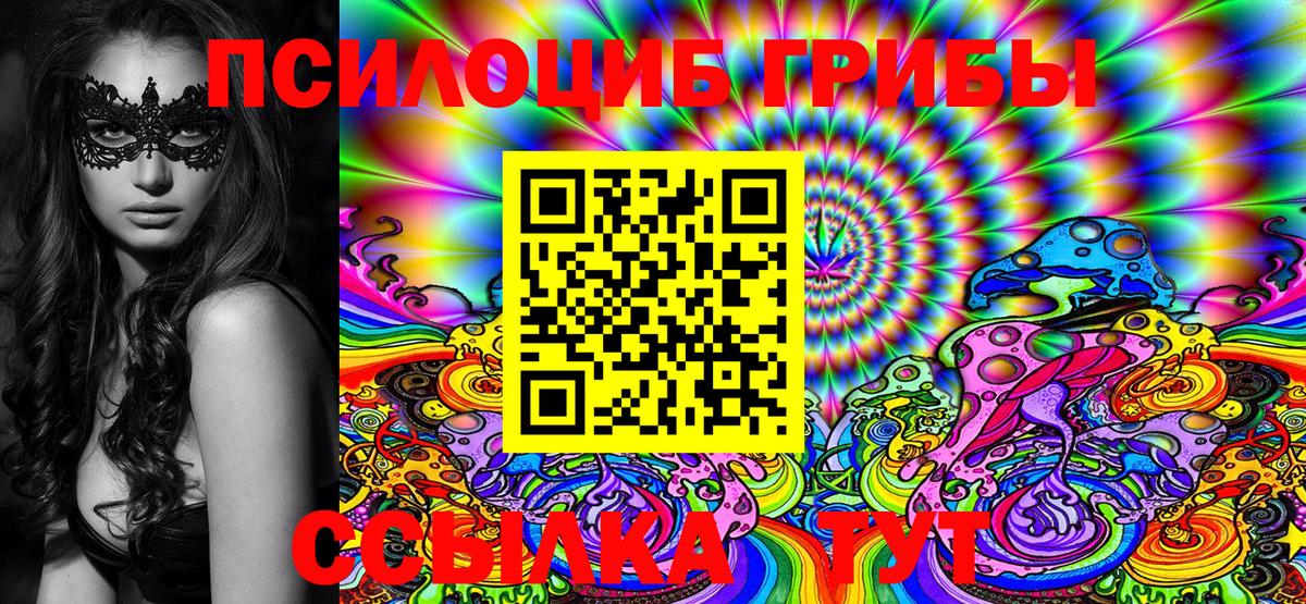 Псилоцибиновые грибы Psilocybe Тобольск